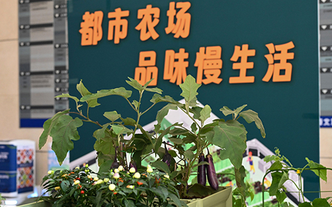 澳门新葡萄新京“都市农场”走进珠江新城CBD写字楼，邀您来体验！